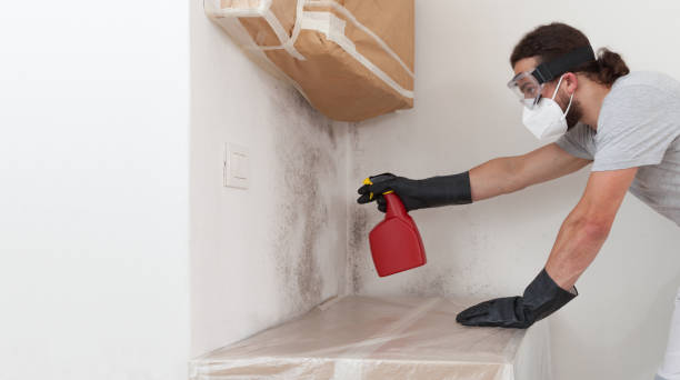 Professional Crawl Space Mold Remediation technician working in Patchogue, NY